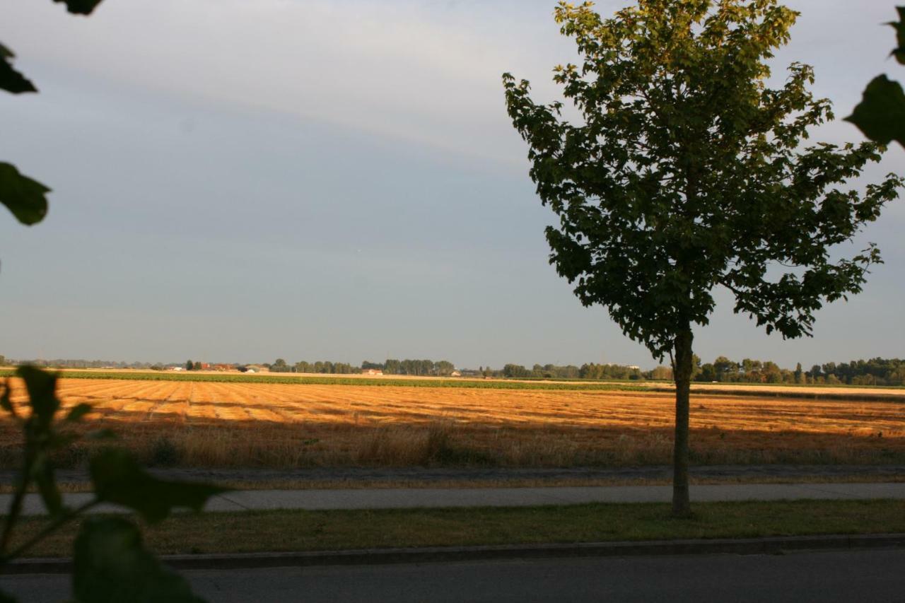 Vakantienestje Bredene Esterno foto